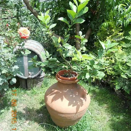 Guest house Diana 2*